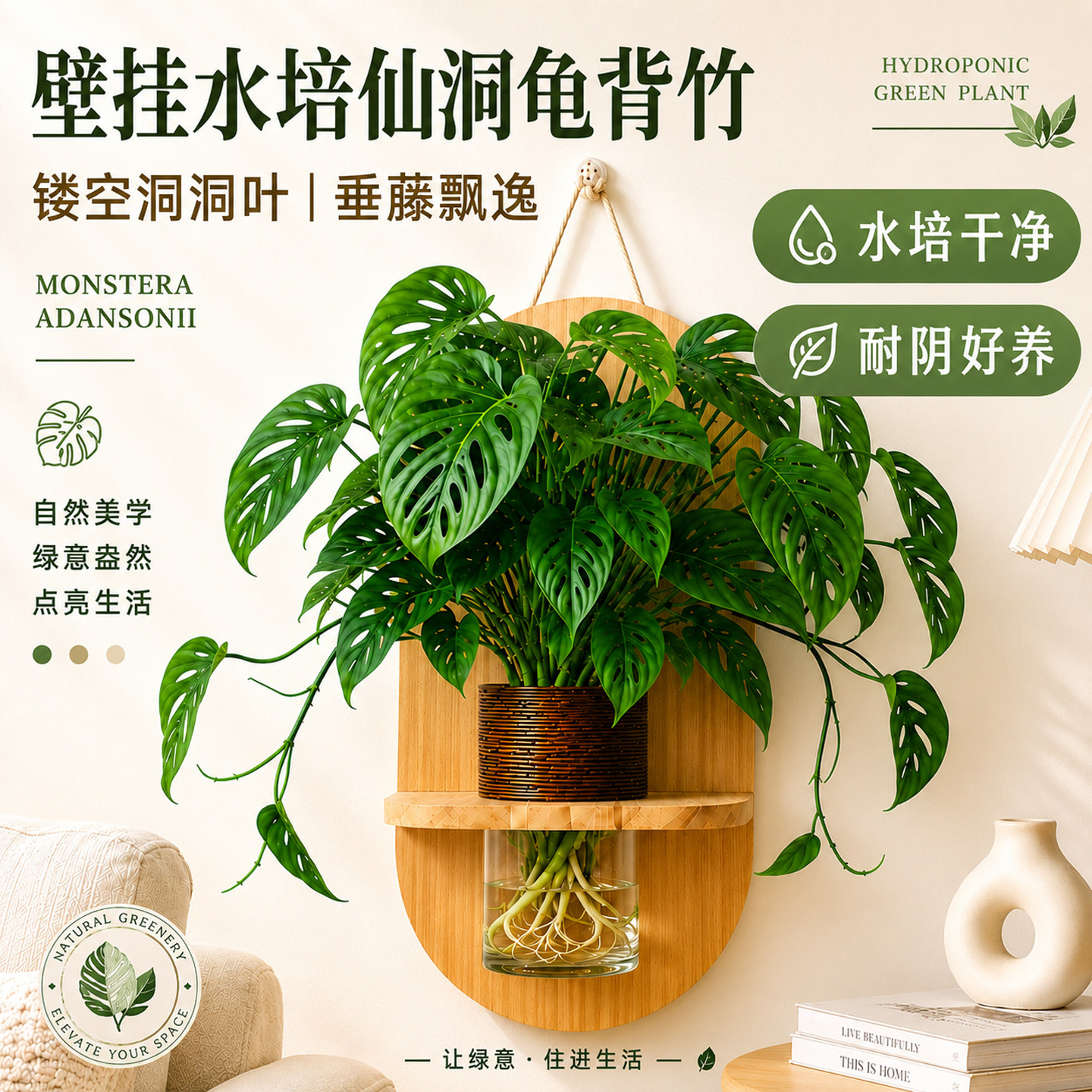 木质壁挂水培植物仙洞龟背竹室内爬长藤垂吊观叶绿植盆栽墙面装饰图片