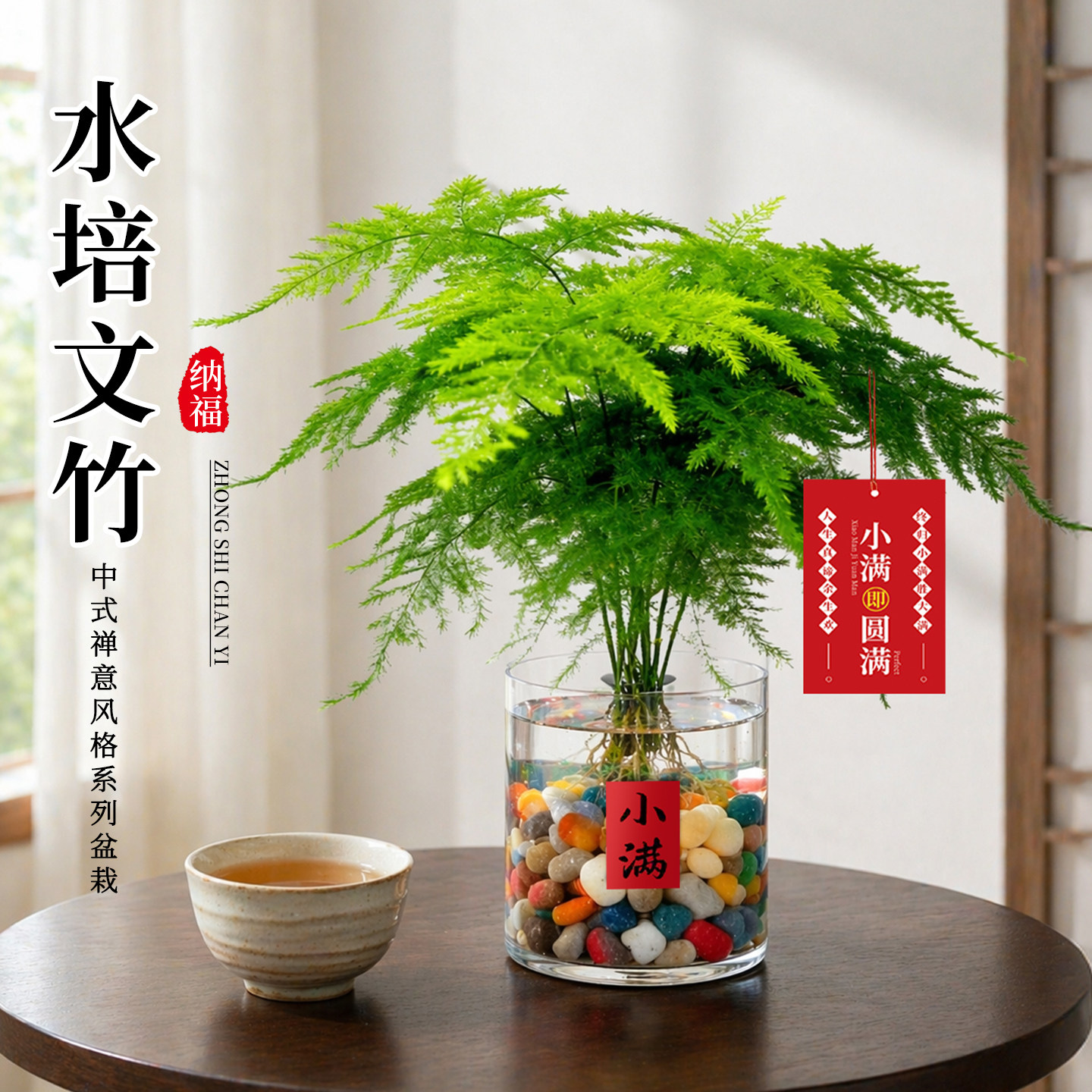 文竹盆栽室内水培绿植办公室桌面懒人绿植摆件净化空气四季好养活