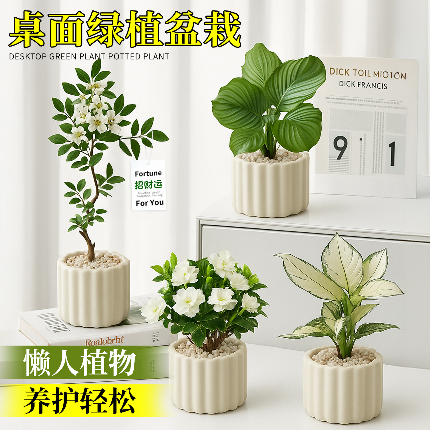 办公室绿植小盆栽室内植物桌面盆景花卉客厅摆件幼儿园懒人好养活