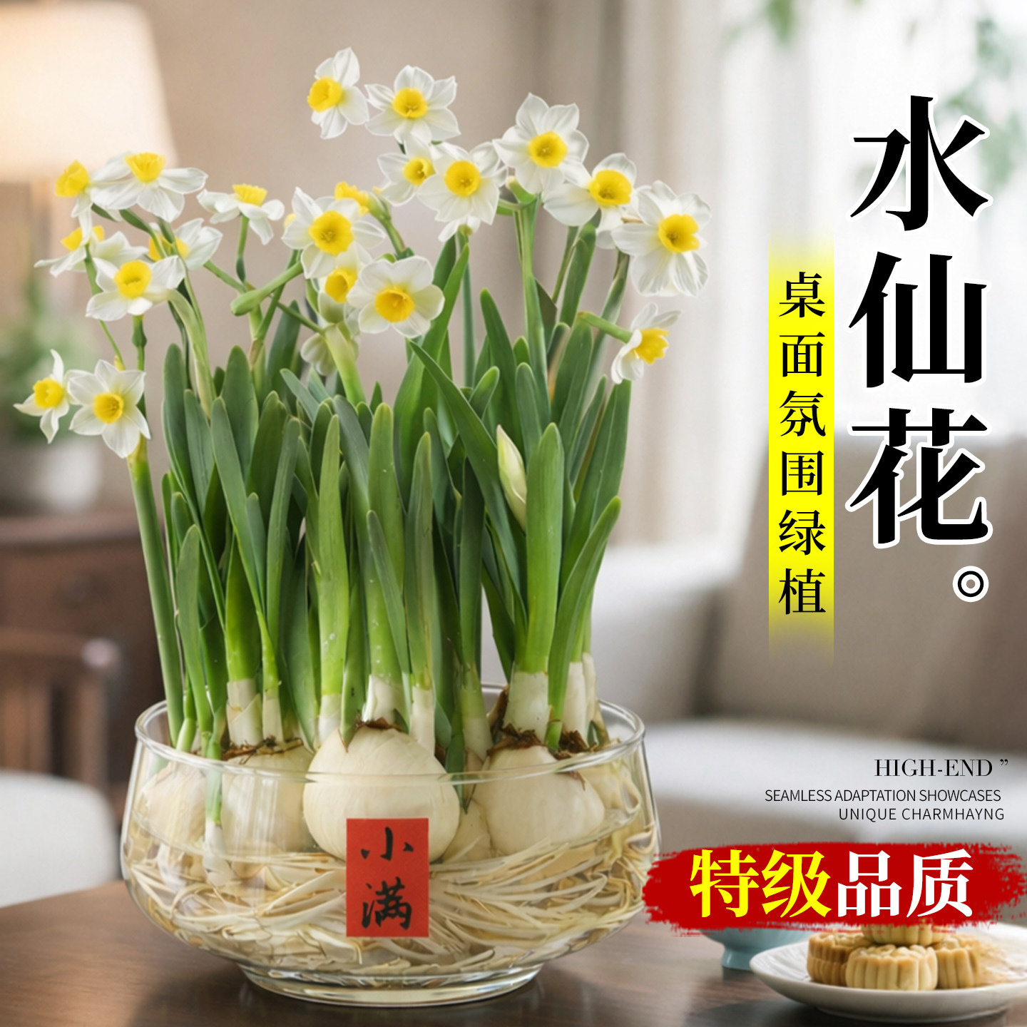 漳州水仙花卉种球根水培植物办公室内办公桌水养绿植盆景年宵花卉,鲜花速递/花卉仿真/绿植园艺,种球/裸根,淘宝优惠券,粉丝福利购,淘宝优惠卷