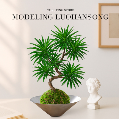 罗汉松盆景水生植物办公室客厅造景桌面水培绿植室内盆栽四季好养