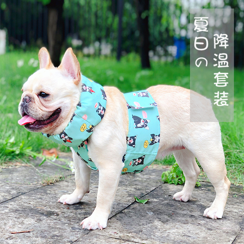 法斗巴哥夏季降温套装送冰袋