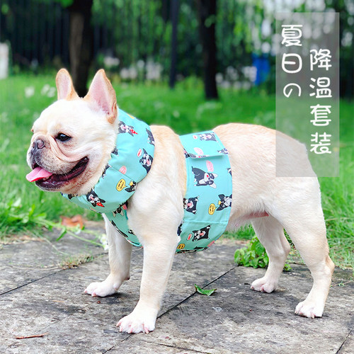 法斗巴哥夏季降温套装送冰袋