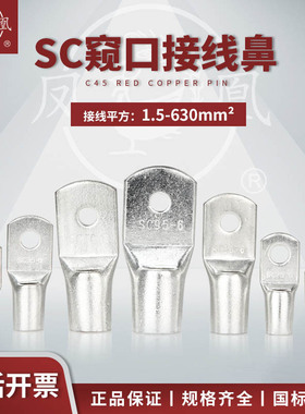 窥口铜鼻子短款铜线耳船用JK端子SC-4/6/10/185/240平方加厚线耳