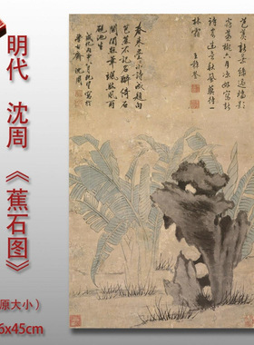 明代沈周蕉石图微喷打印水墨山石