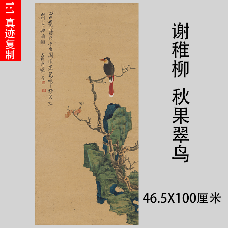 谢稚柳秋果翠鸟图名家工笔花鸟国画竖幅装饰画学习临摹画稿微喷