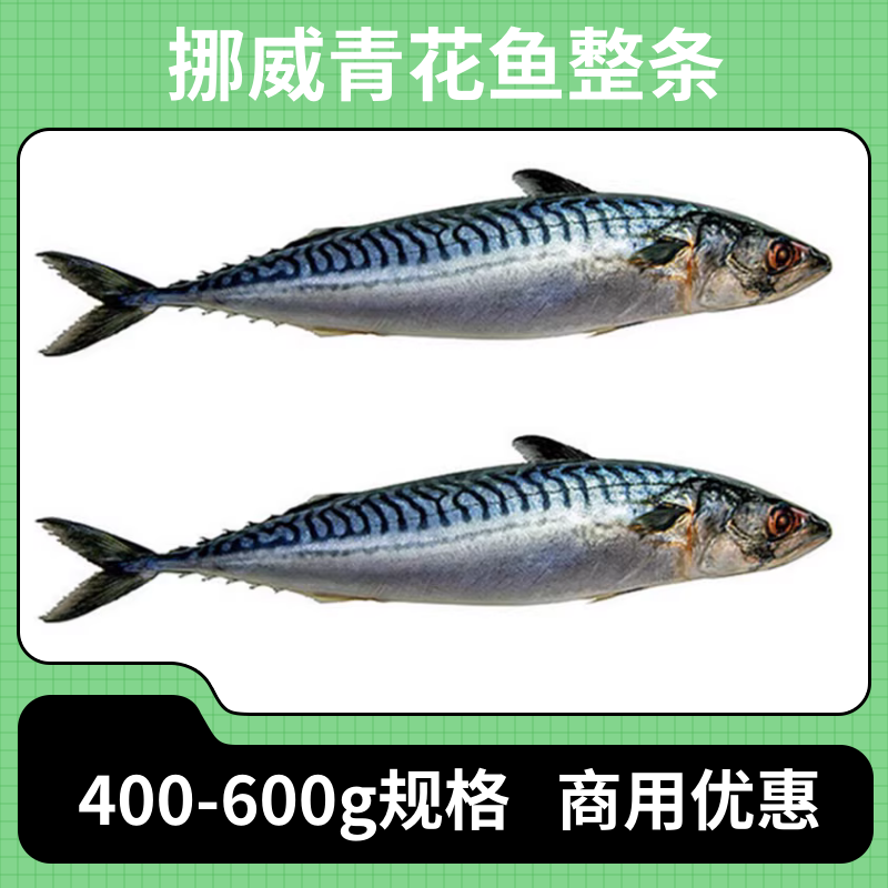 挪威青花鱼500g 鲭鱼冰鲜鲐鱼海鲜烧烤香煎水产日料食材健身海鱼