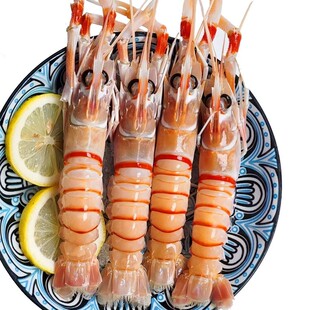 商用新西兰鳌虾2kg进口南极深海Scampi斯干比小龙虾高端日料刺身