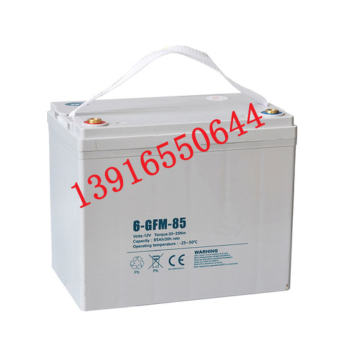 中力小金刚电动叉车