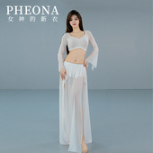 女神 舞蹈演出服飘带初学者练功服T029 新衣荷叶网纱仙气套装