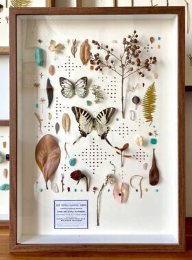 立体中空相框diy手工干花植物动物标本展示框摆台昆虫玫瑰花画框