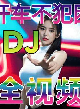 车载无损视音频DJMVU盘