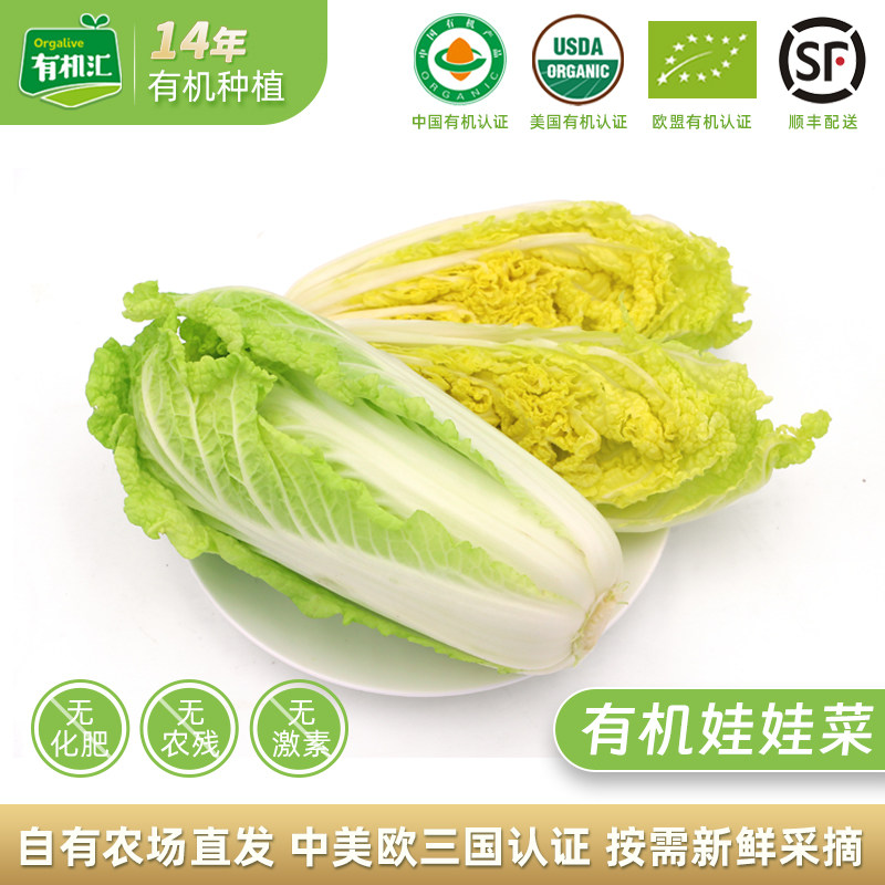 有机汇有机娃娃菜包邮 新鲜蔬菜配送辅食烧烤露营火锅农家无农残