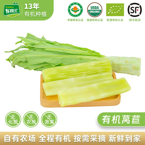 有机汇现摘新鲜蔬菜宝宝辅食