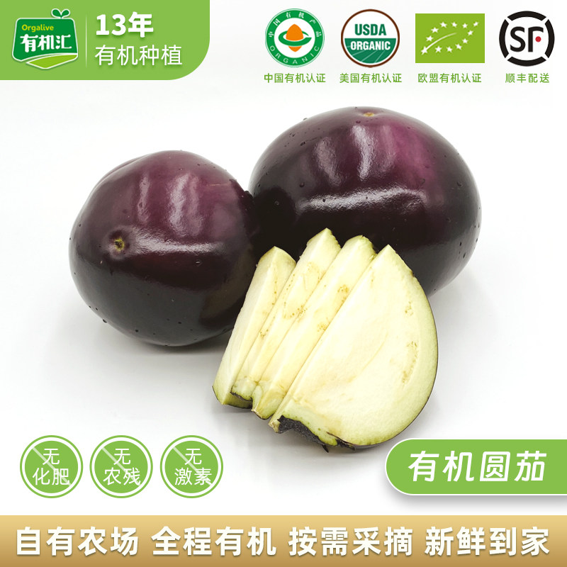 有机汇有机圆茄 新鲜蔬菜时令蔬菜茄子农场现摘配送有机无农残