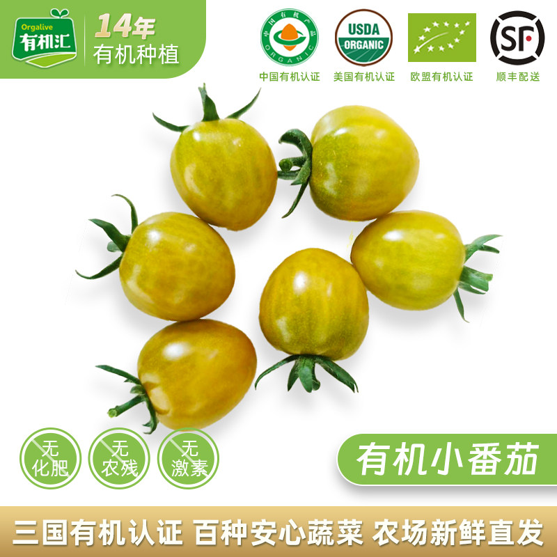 【有机汇推荐】小番茄红绿随 3斤 新鲜蔬菜无农残沙拉圣女果水果
