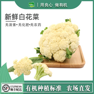 有机白菜花价格 有机白菜花图片 星期三