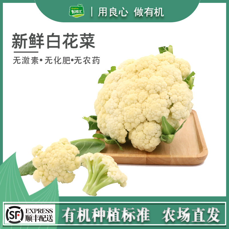 有机白菜花素材模板 有机白菜花图片下载 小麦优选