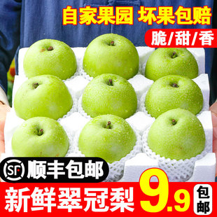 当应季翠玉梨青皮梨子脆甜多汁新鲜水果整箱翠冠早酥蜜梨蜂糖梨10