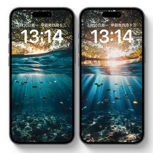 河流游鱼动态壁纸安卓苹果手机高清壁纸水底鱼群图片屏保视频素材