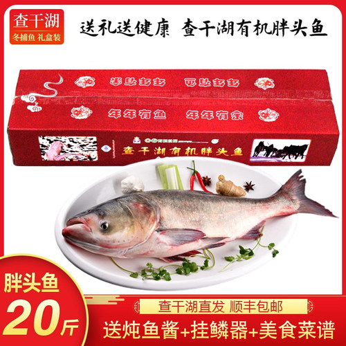 查干湖冬捕鱼价格 查干湖冬捕鱼图片 星期三