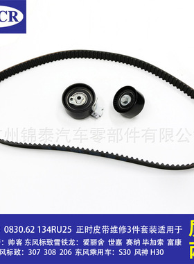 适用于东风标致307 308 206 汽车TU5JP4发动机 正时皮带维修3件套