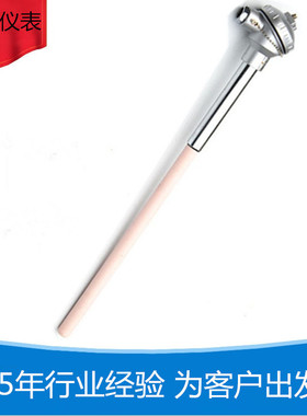 高温铂铑热电偶S型0-1600℃多晶炉热电偶贵金属温度传感器wrp-130