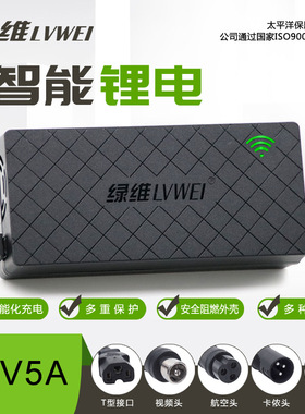 36V5A电动车平衡车滑板车充电器42V40.15V43.8V5A锂离子电池快充