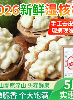 2026新鲜湿核桃人工挑选5斤大果