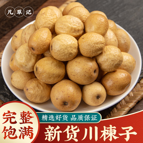 精选野生苦楝子中药材包邮