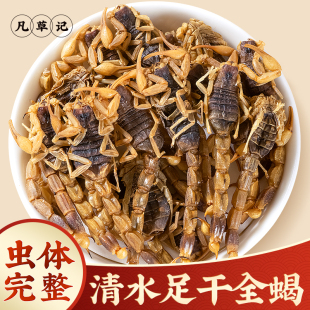 全蝎中药材正品清水蝎子全蝎干中药材干足干钳蝎全虫蝎子干货正品