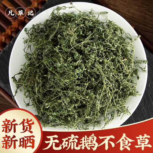 中药材鹅不食草新鲜鹅干