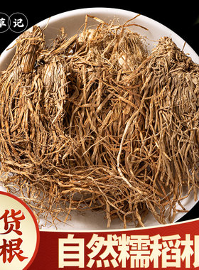糯稻根正品500g糯米稻草根糯米根糯稻根新货稻草根稻须根无硫天然