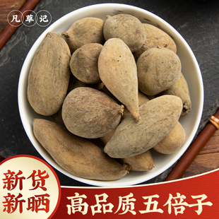 五倍子中药材500g 正宗中草药材五倍子粉 无添加泡水喝2025年新货