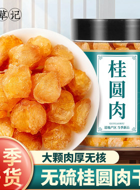 无核桂圆肉干四川泸州特产