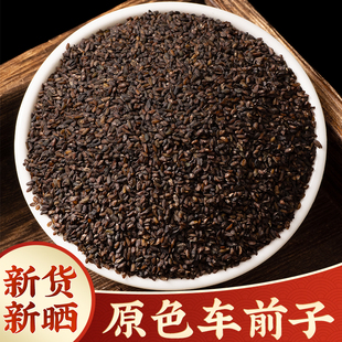 车前子中药材正品车前籽种车钱草籽野生车钱子籽500g新货精选正宗