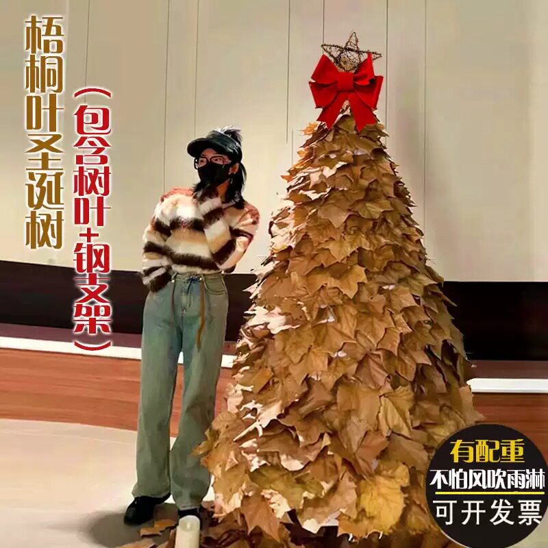 网红梧桐落叶枫叶diy创意真树叶图片