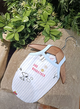 宠物泰迪马尔济斯约克夏衣服超小体幼犬猫咪狗狗背心衣服春夏薄款