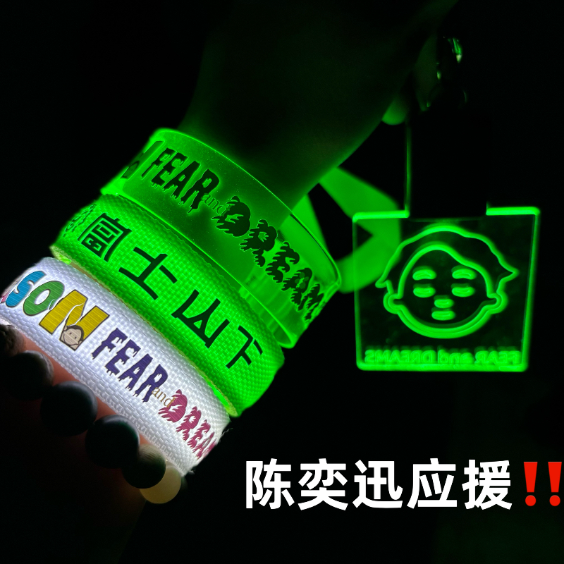 2025陈奕迅定制应援发光手环fear and dreams演唱会周边应援物