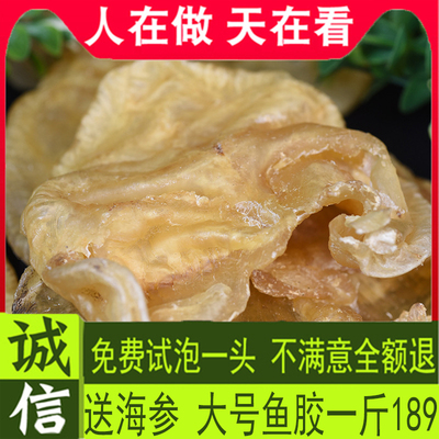 一斤500g干货正品孕妇海参鱼胶