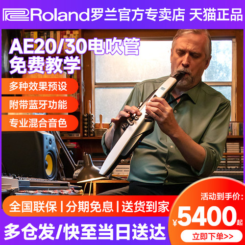 罗兰电吹管AE20老年人萨克斯ae30