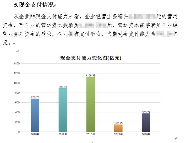 财务分析详细报告