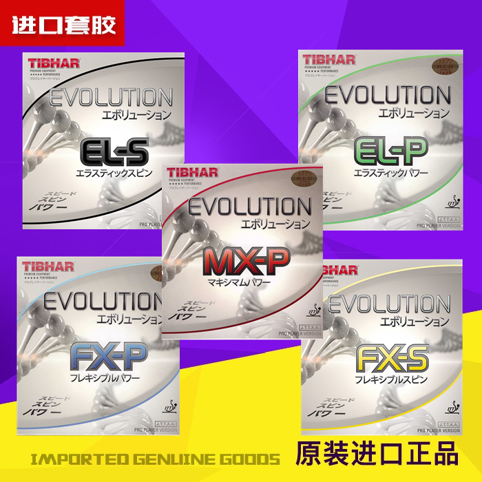 挺拔变革EvolutionFXP