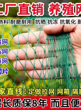 密网渔网网布水产养殖尼龙网