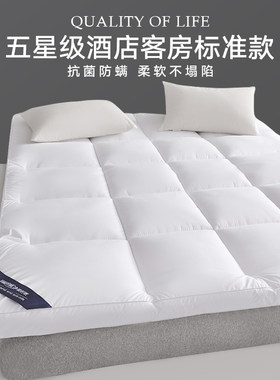 半岛五星级酒店超软床垫A类防螨
