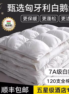 五星级酒店京希尔顿匈牙利白鹅绒冬被羽绒春秋被子家用厚保暖被芯