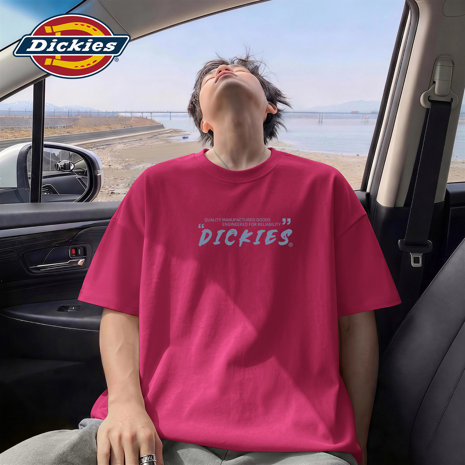 Dickies纯棉宽松短袖男T恤夏季时尚宽松上衣男士重磅休闲装上衣男