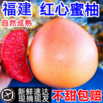 【不甜包赔】福建平和三红蜜柚！