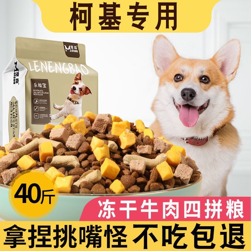 柯基狗粮40斤大袋不掉毛幼犬长肉1-12个月专用柯基犬成犬10斤