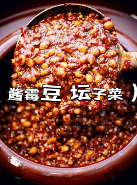 湖南特产衡阳下饭菜豆瓣酱香辣腊八豆霉豆自然发酵豆豉风味450g罐